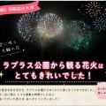 夏の思い出♬ラプラス公園で過ごした最高の夜!!