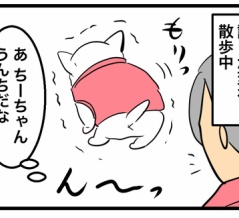 🐶う◯ちが真っ黒に…！？ リン吸着剤の仕組みと腎臓ケアの話🐾