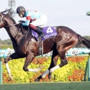 ピクシーナイト種付け数176頭！JRA史上初の父系5代GI制覇へ視界良好