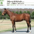 24年産新加入戦力②フローレスマジック24【25募集】