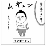 インポートサイズがむず過ぎる