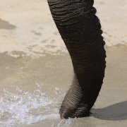 媛ちゃんの水遊び