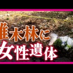 ニュースチャンネル