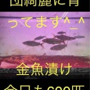 ゴリアテ