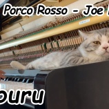 『ピアノの上で猫が眠る紅の豚のOST「帰らざる日々」のピアノカバー』の画像