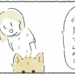豆しばこつぶとキリの絵日記
