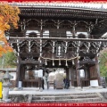 アートの旅2026秋号(7)～善峯寺仁王門【前編】／花前カレン