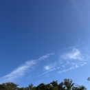 Grace(藤井風)に共鳴したら涙が流れた