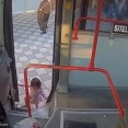 よちよち歩きの女の子がこっそりバスに乗り込んで…運転手が仰天する姿が監視カメラに収められていた