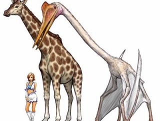 古代の地球には体長5mの熊や20mのサメなんかがいた