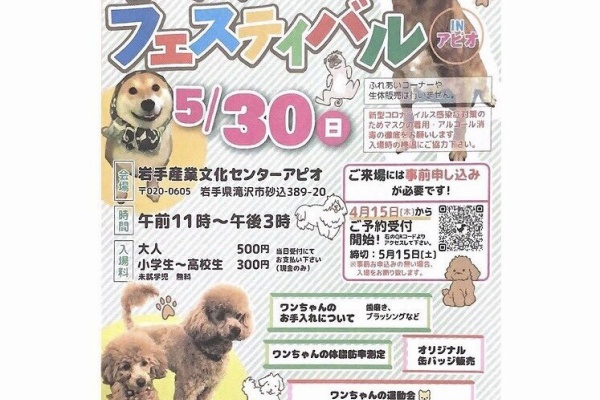 でこぼこトイプードル日記 ニャン 犬のイベント お出かけ