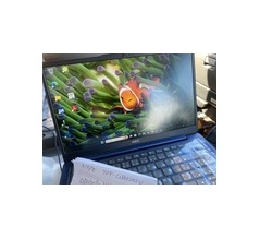 ☆ショックです☆