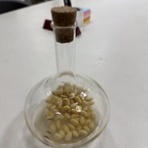オダ工作室