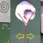 ◆絶滅危惧種のゴルフクラブ創ります