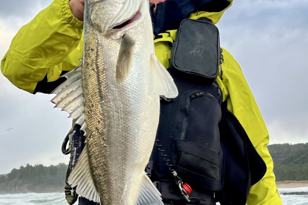 SAKURA LURE DIVISION 釣行記 - C3+ W.o.r.C 8'7