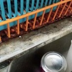 離婚→汚実家へ→捨活←いまここ