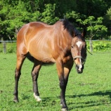 『EOTRH』の画像