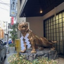 よく歩きました