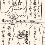 猫について考える日々