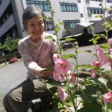 『蘭、復活‼️💐✨』の画像