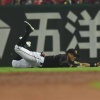 【悲報】阪神・糸井、左肩腱板部分損傷で今季絶望的 	
