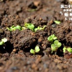 田舎記者の手帳