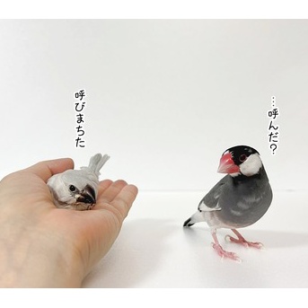 そうなんだぞ？