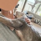 朝のルーティンぼくちんを抱っこで、自分の首のシワに驚く( °_° )