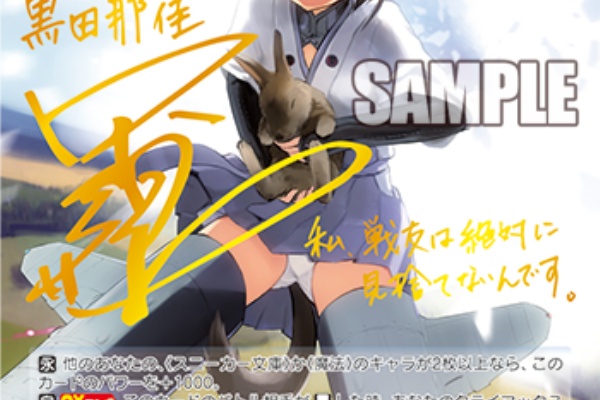 Ws スニーカー文庫 第506統合戦闘航空団 那佳 第506統合戦闘航空団 マリアン 第506統合戦闘航空団 ジェニファー カーラの本当の気持ち 豚小屋ヴァイスシュヴァルツ ブタゴヤws