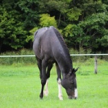 『楽しい時間』の画像
