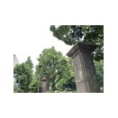 OB会