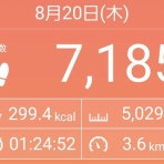 サクラの咲く頃～日常の幸せ
