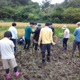 『【横浜・合同】実りの秋！』の画像