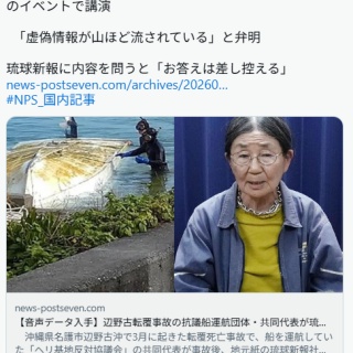 痛いニュース(ﾉ∀`)