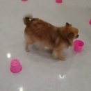 お勉強の時間⛄