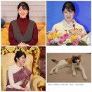 愛子さまお誕生日