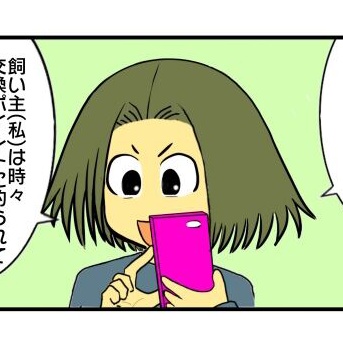 【ポイ活】アンケートサイトが続かない理由(ワケ)