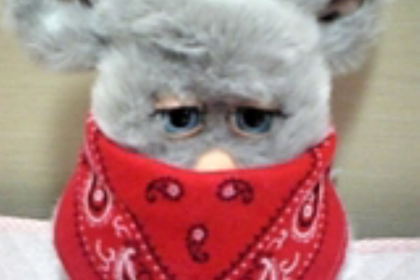 ﾌｧｰﾋﾞｰ ﾌｧｰﾋﾞｰ