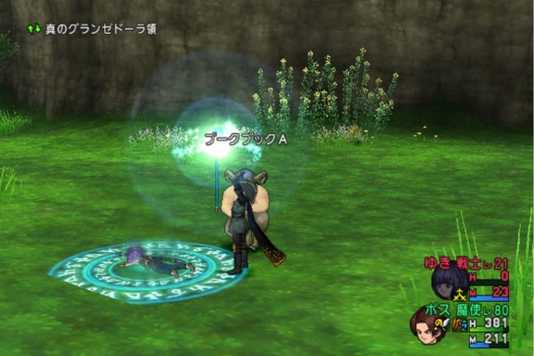 ドラクエ１０ 関ヶ原括約筋 の活躍