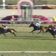 【競馬】エリザベス女王杯は戸崎騎乗のレガレイラがV