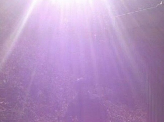 【重要】ワクチン・デトックス（無害化・浄化）の方法 その①