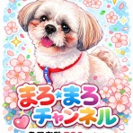 日頃のママ日記