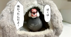 喜んでもらいたかったんです