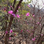 きまぐれな時間