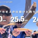【5.30須磨のキス釣り】潮止まりに25.5cm, 25cm,24cm！