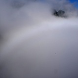 『ホワイトレインボー』の画像