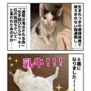 超未熟児ヒヨちゃん 6歳に！