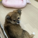 ワンラブ　カインズ広島LECT店のブログ