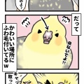 鼻が少し塞がってたけどいいの？