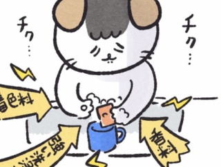 【PR】サラヤのヤシノミ洗剤🌴